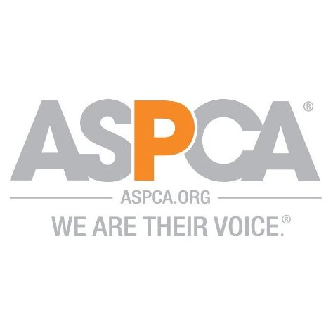 Courtesy of ASPCA